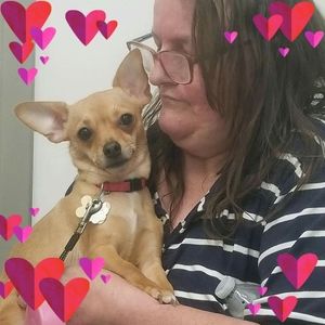 Meet your Posher, Rose